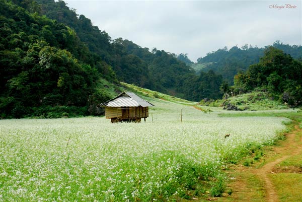 HÀ NỘI - SƠN LA - ĐIỆN BIÊN - MỘC CHÂU
