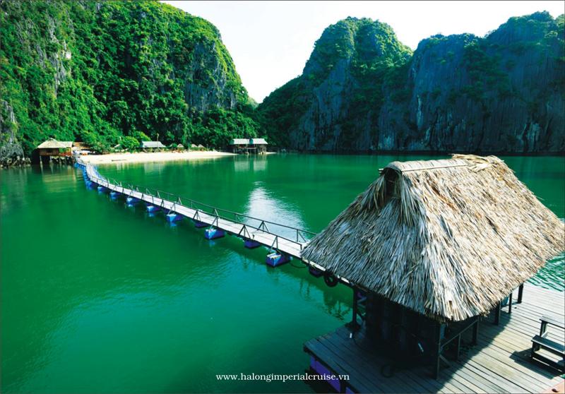 HÀ NỘI - PHÀ TUẦN CHÂU - BIỂN CÁT BÀ
