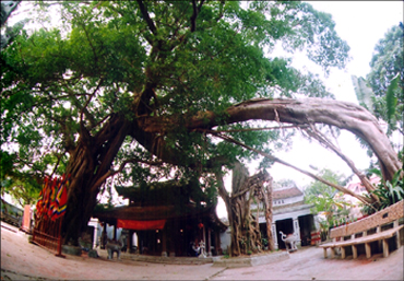 HÀ NỘI - ĐỀN MẪU - ĐỀN TRẦN - CHÙA CHUÔNG