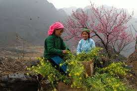 HÀ NỘI - ĐIỆN BIÊN