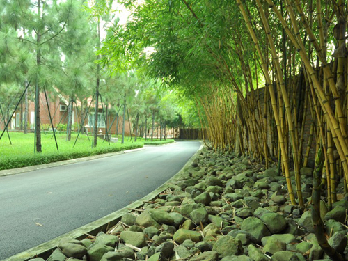 HÀ NỘI - CHÙA TÂY PHƯƠNG – HOÀNG LONG RESORT